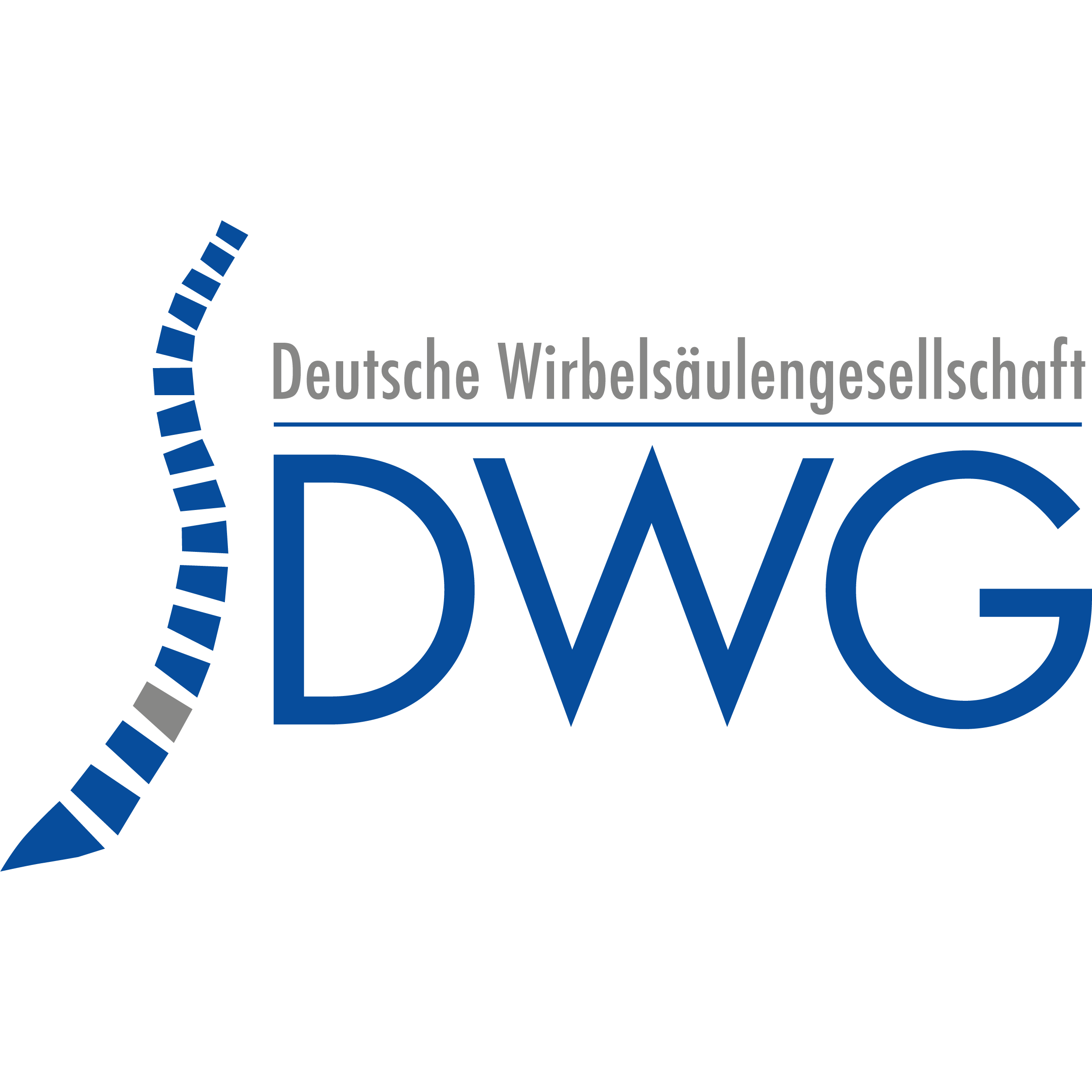 22. Jahrestagung der Deutschen Wirbelsäulengesellschaft | Deutscher Wirbelsäulenkongress